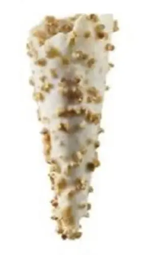 Galleta chocolate blanco con crocanti
