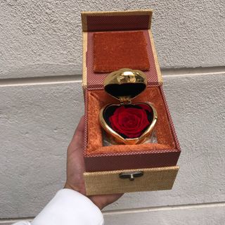 Eternal Golden Rose Premium