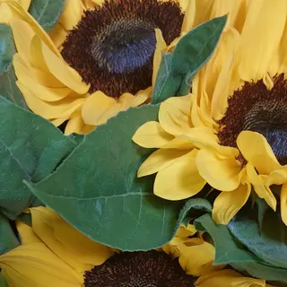 Bouquet di girasoli , verde e velo della sposa