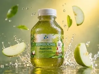 Kombucha 400 мл