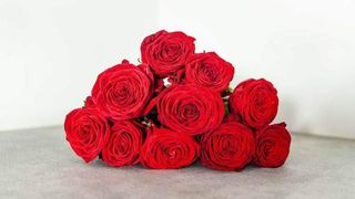 10 წითელი ვარდი