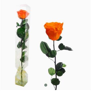 Rosa Eterna Naranja Grande