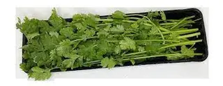 Cilantro Bandeja (150 Gr ) 1 Ud.