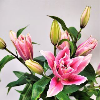 Bukiet z dowolnej ilości lilii