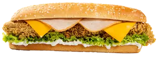 Sandwich Maestro