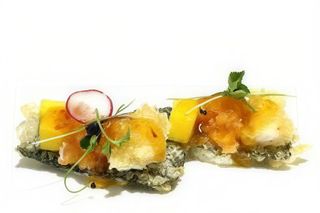 Y13 Tappet alga - 2 pezzi