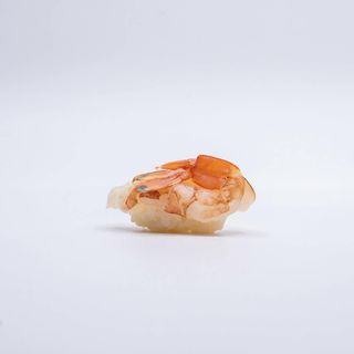 S84. Nigiri Amaebi