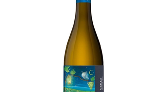 GRILLO PATRÌ