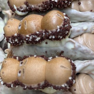 CANNOLO HAPPY HIPPO