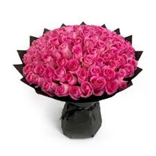 100 pink roses