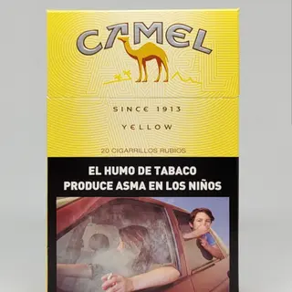 Camel