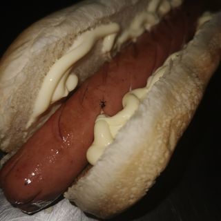 Bacon cheese hot dog