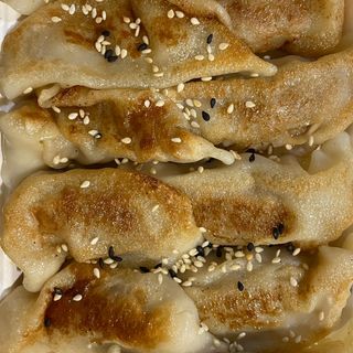 UA24A Gyosas Vapor Carne