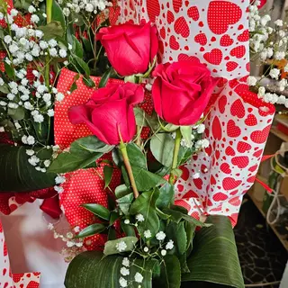 3 rose rosse  gambo lungo
