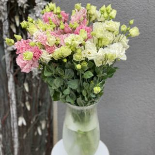 Еустома в асортименті, 1 шт