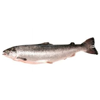 Supremas De Salmón (400 Gr.) Ud.