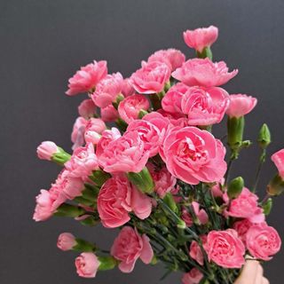 Różowy spray z goździkami