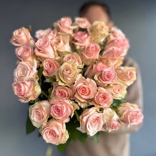 Троянда Кімбрелі поштучно