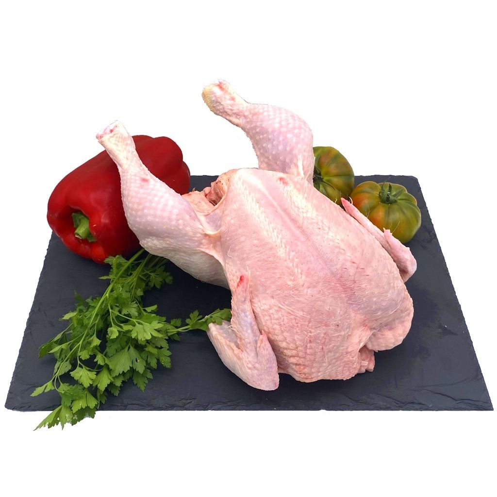 Pollo, Pavo y Otras Aves.