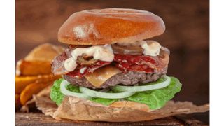 MindBlow Burger