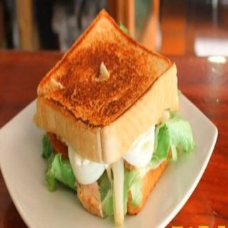 Sándwich Vegetal Especial