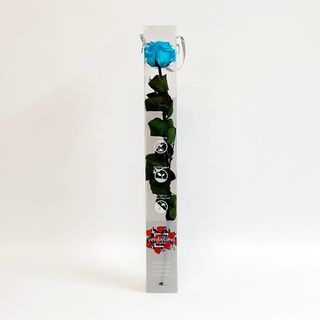 Una Rosa Turquesa Preservada