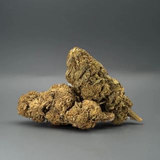 Flor Tangerina Cake Nano10 CBD 70% - 1G