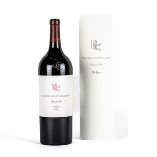 Magnum Capellanes 