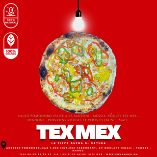  TEX MEX LARGE   