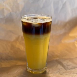 Джміль класичний L