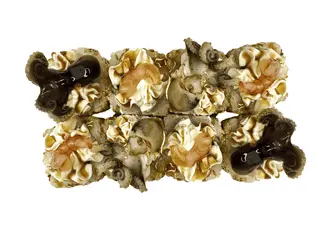 Океан (260g)