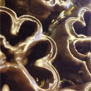 Flores Chocolate