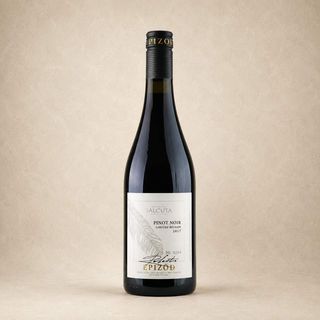 Sălcuța Epizod Pinot Noir 2020