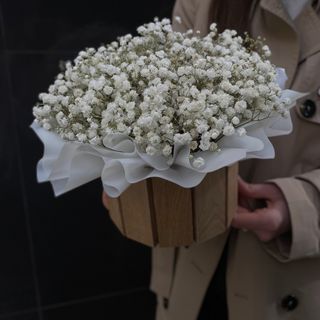 Композиція з Гіпсофілою в боксі