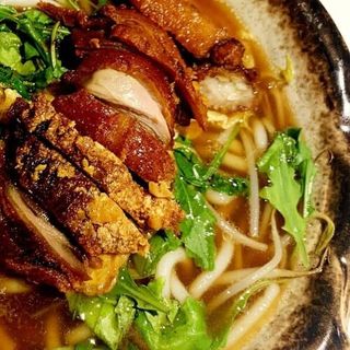Duck udon ramen