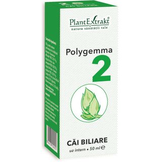 Polygemma nr. 2 - Cai biliare
