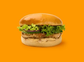 Չիքեն մեղրային 350գ