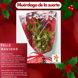 Muérdago de la suerte