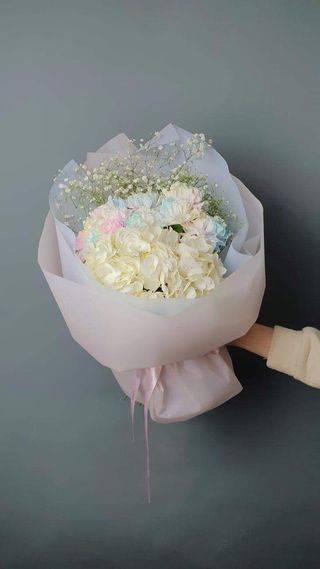 ჰორტენზია მიხაკიგიფსოფილა