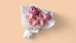 შენი საყვარელი ფერი