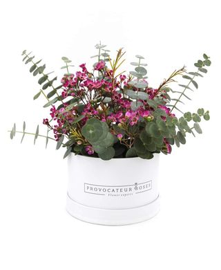 Caja Decorativa Con Aromas Cítricos