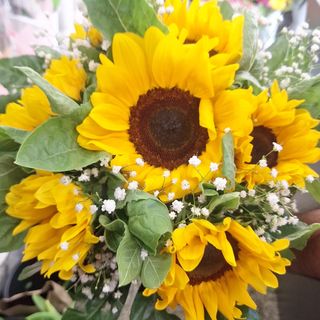 Bouquet di girasoli 