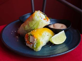 ВЕГА СПРІНГ РОЛ