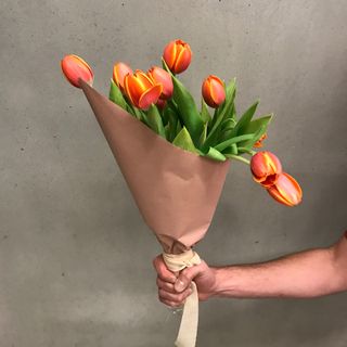 Tulipanes XL