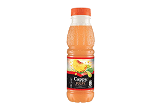 Cappy Peach 0.33