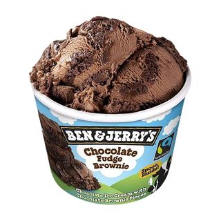 Ben & Jerry's Chocolate Fudge Brownie (100 Ml.)