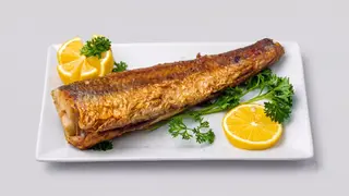 Pastrmka file
