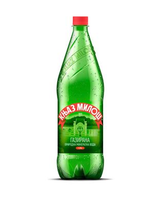 Mineralna gazirana voda 