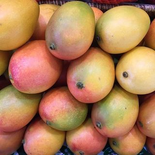 Mangos De Avión