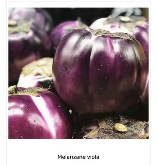 Melanzane viola Italia 1/2 kg. ca.